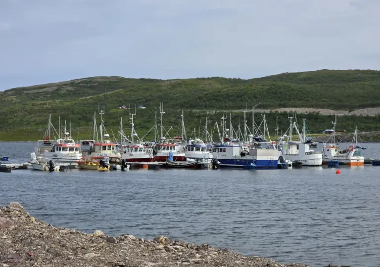 Lenke til artikkel om Sikre bosetting og lokal verdiskaping i Finnmark