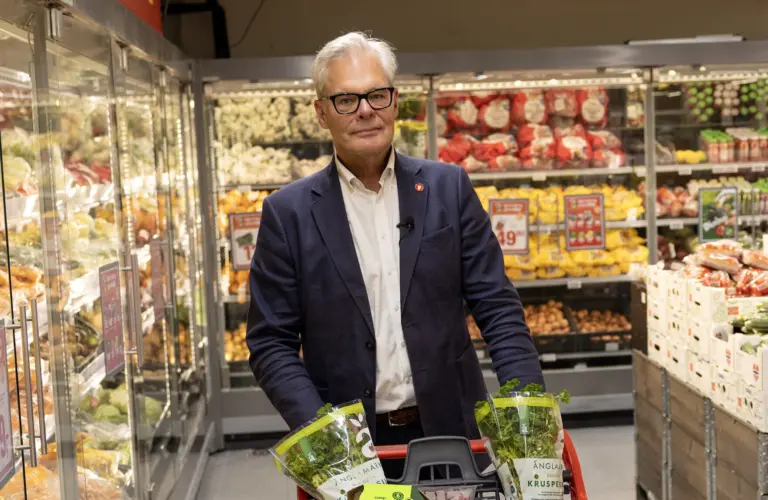 Lenke til artikkelen om: Regjeringen bløffer: – Kjøpekraften har stått nesten stille under Støre