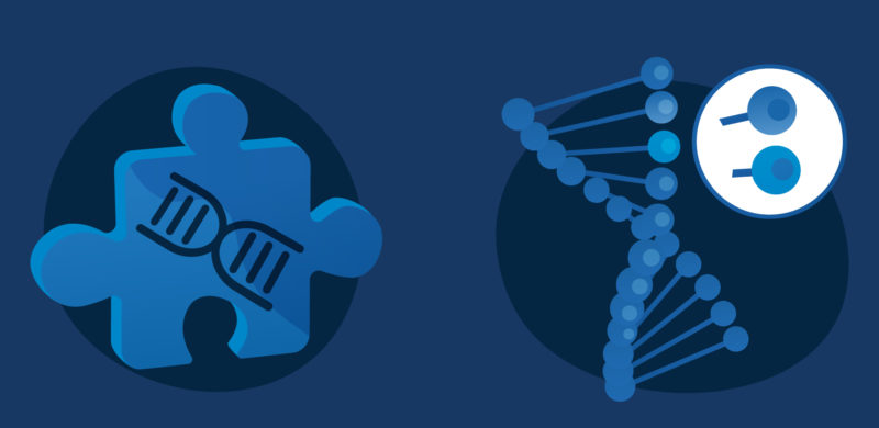 DNA-tråd på en puslespillbrikke, samt en DNA-sekvens. Blåtoner. Illustrasjon. DNA-tråd på en puslespillbrikke, samt en DNA-sekvens. Blåtoner. Illustrasjon.