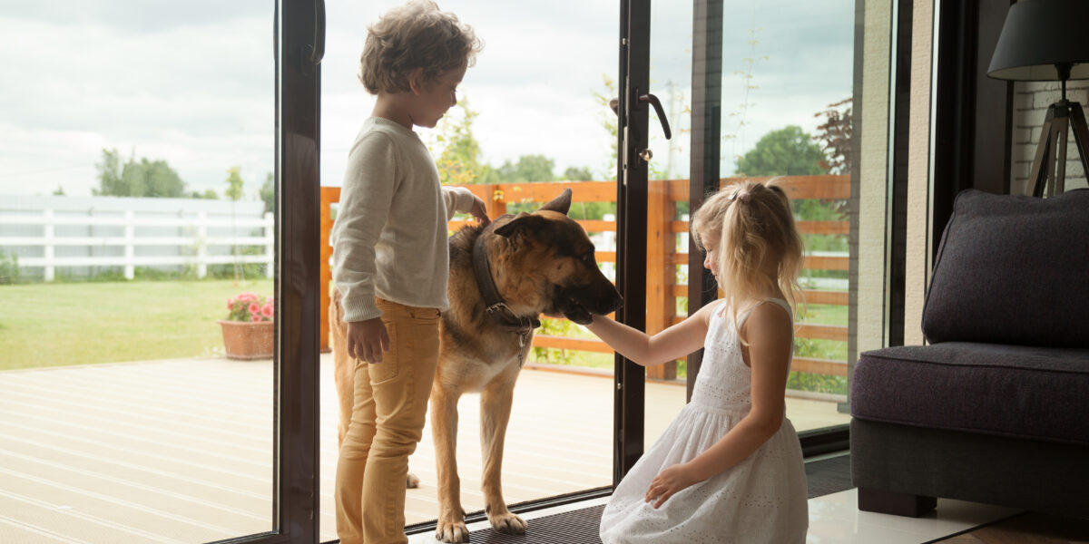 To små barn leker med en schæferhund i åpen verandadør mellom stue og veranda. Foto. To små barn leker med en schæferhund i åpen verandadør mellom stue og veranda. Foto.