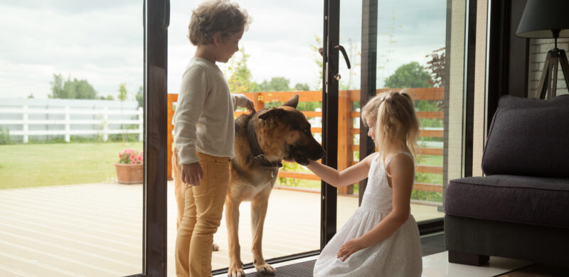 To små barn leker med en schæferhund i åpen verandadør mellom stue og veranda. Foto.
