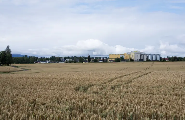 Lenke til artikkelen om: Advarer kraftig mot nedleggelse av Jønsberg