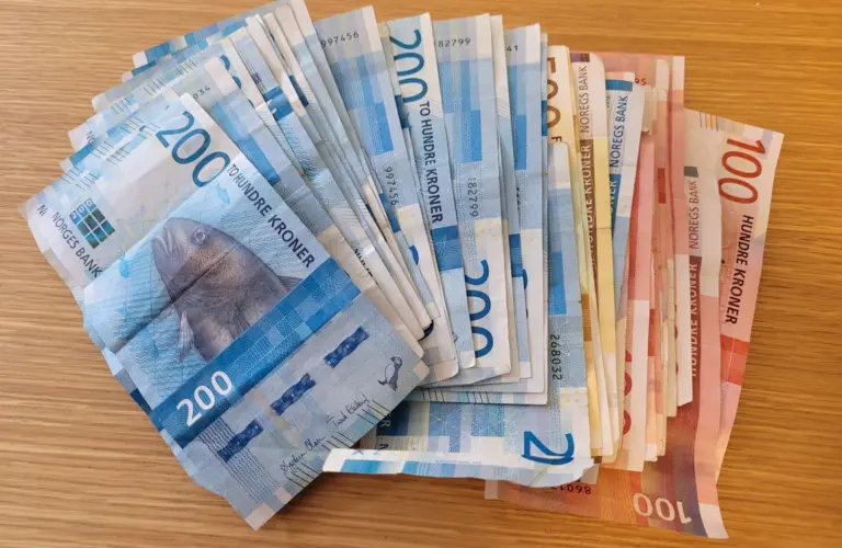 Lenke til artikkelen om: Dette er FrPs alternative budsjett for Ringsaker kommune i perioden 2026-2029