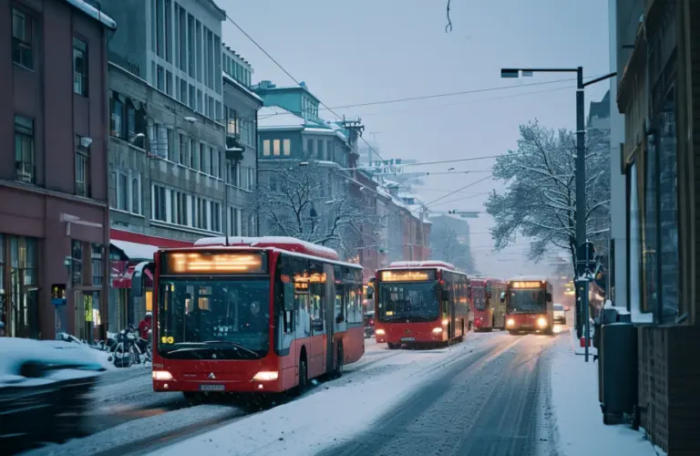 Lenke til artikkelen om: Stans fjerningen av busslommer
