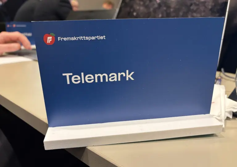 Lenke til artikkel om Europeisk sikkerhet krever norsk handling